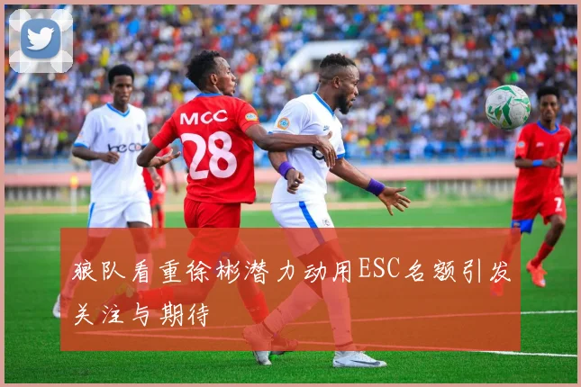 狼队看重徐彬潜力动用ESC名额引发关注与期待