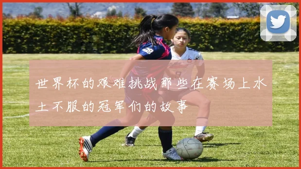 世界杯的艰难挑战那些在赛场上水土不服的冠军们的故事