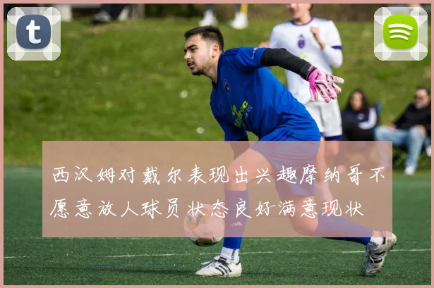 西汉姆对戴尔表现出兴趣摩纳哥不愿意放人球员状态良好满意现状