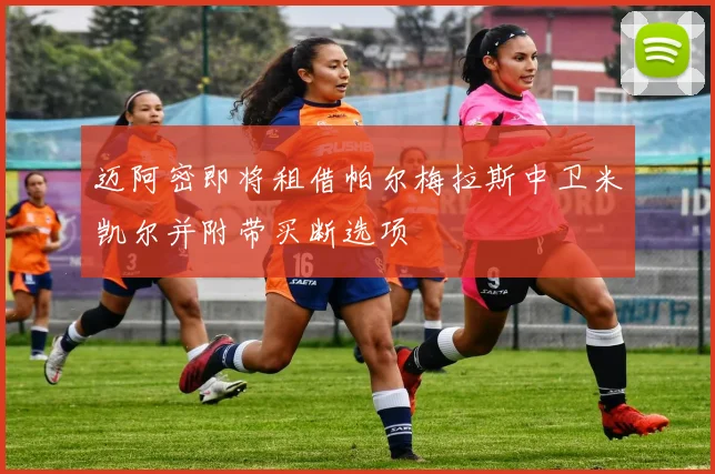 迈阿密即将租借帕尔梅拉斯中卫米凯尔并附带买断选项